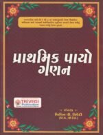 Prathmik Payāno Ganan (પ્રાથમિક પાયાનો ગણન) - Image 2